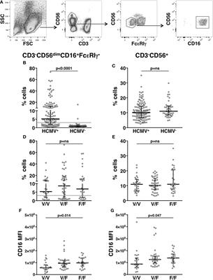 Tumor-Targeting Anti-CD20 Antibodies Mediate In Vitro Expansion of Memory Natural Killer Cells: Impact of CD16 Affinity Ligation Conditions and In Vivo Priming